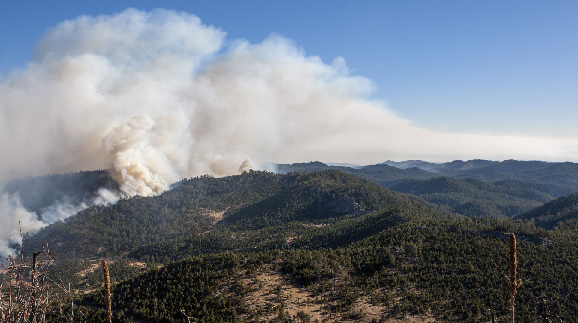 121217-nws-fire 022.JPG